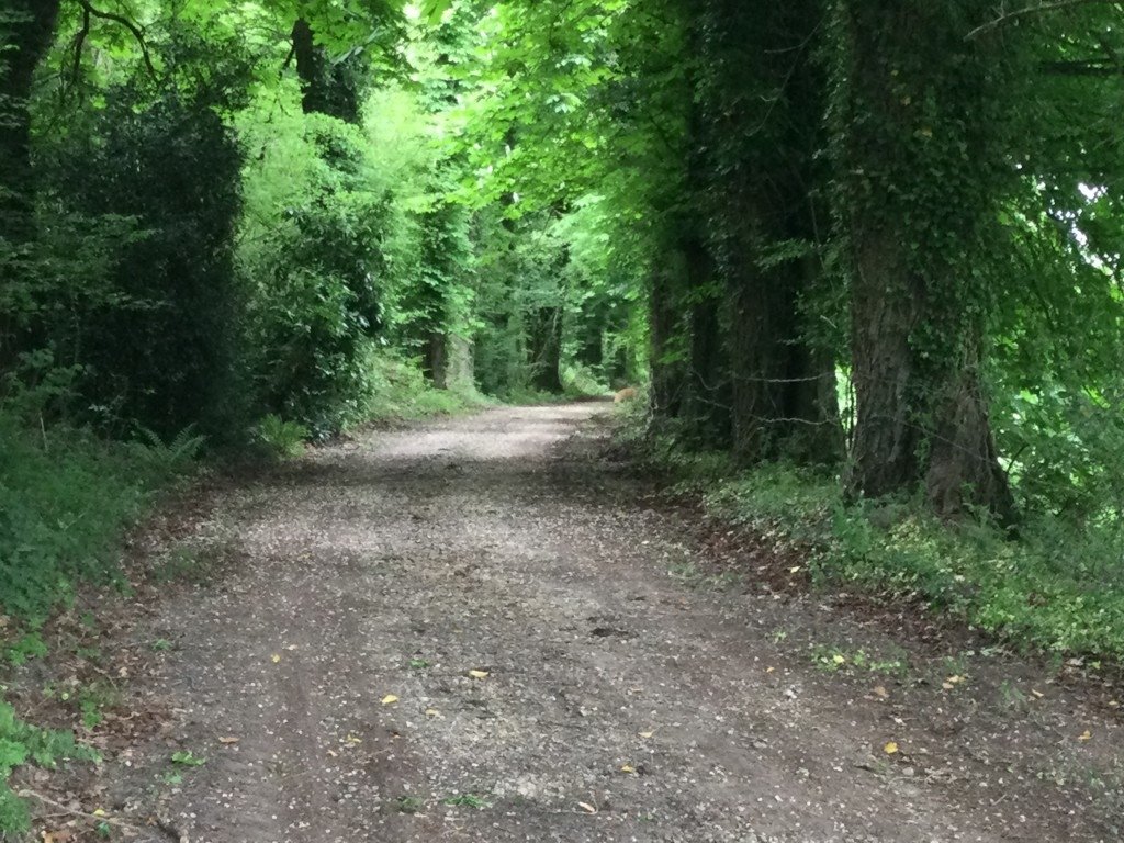 Château de 1768 dans son jus – photo 2