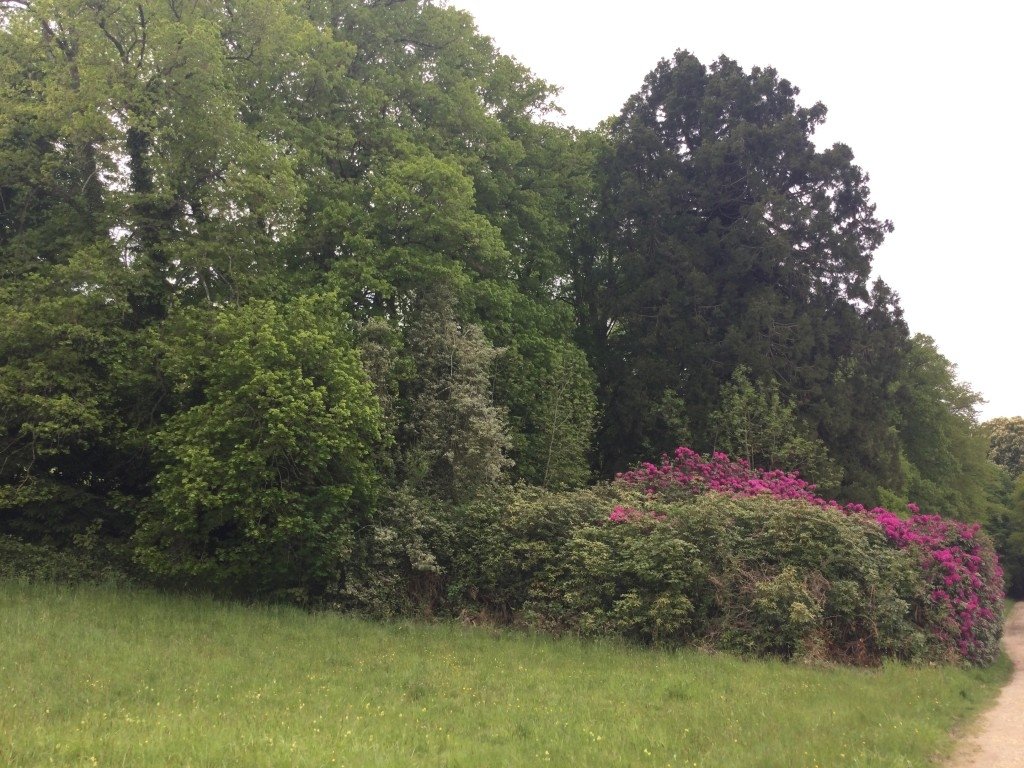 Château de 1768 dans son jus – photo 5