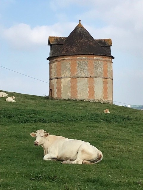 Château de 1768 dans son jus – photo 18