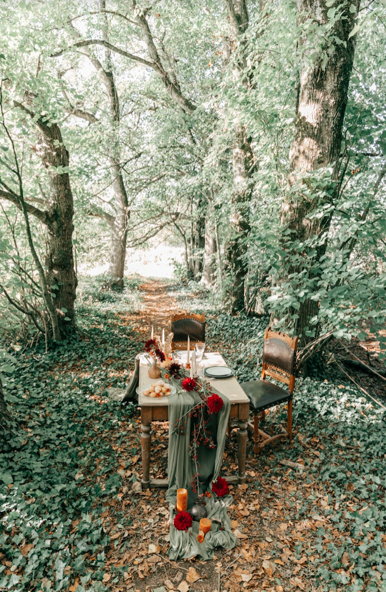 Maison de caractère avec douves en eau – photo 2