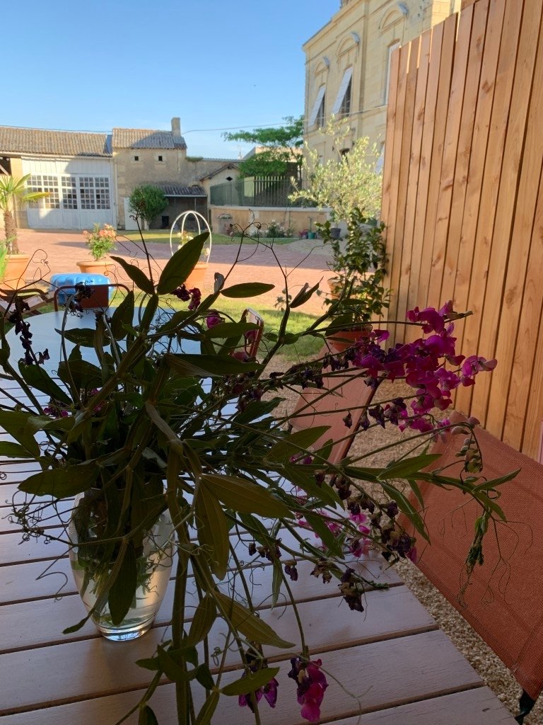 Domaine et ses dépendances – photo 5