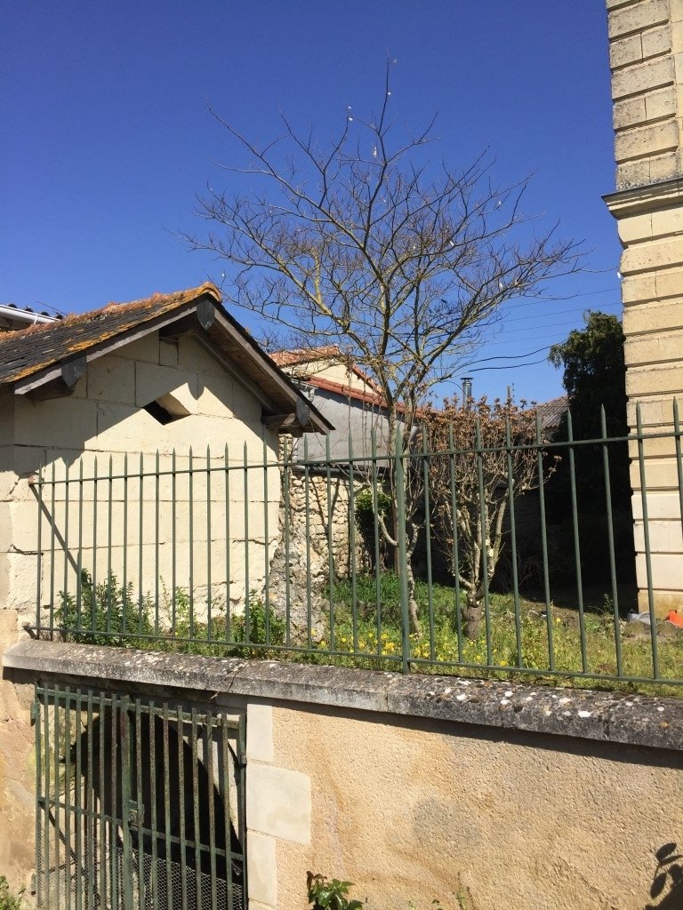 Domaine et ses dépendances – photo 9