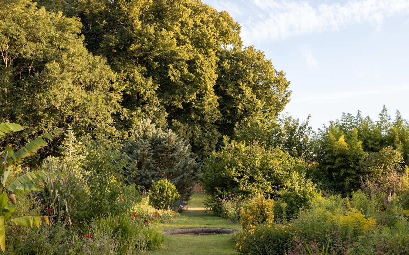 Château du XVème siècle – photo 4
