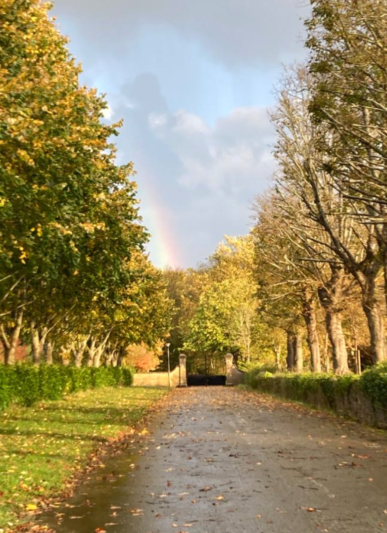 Manoir de charme – photo 4