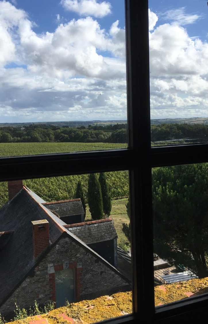 Manoir de charme – photo 7