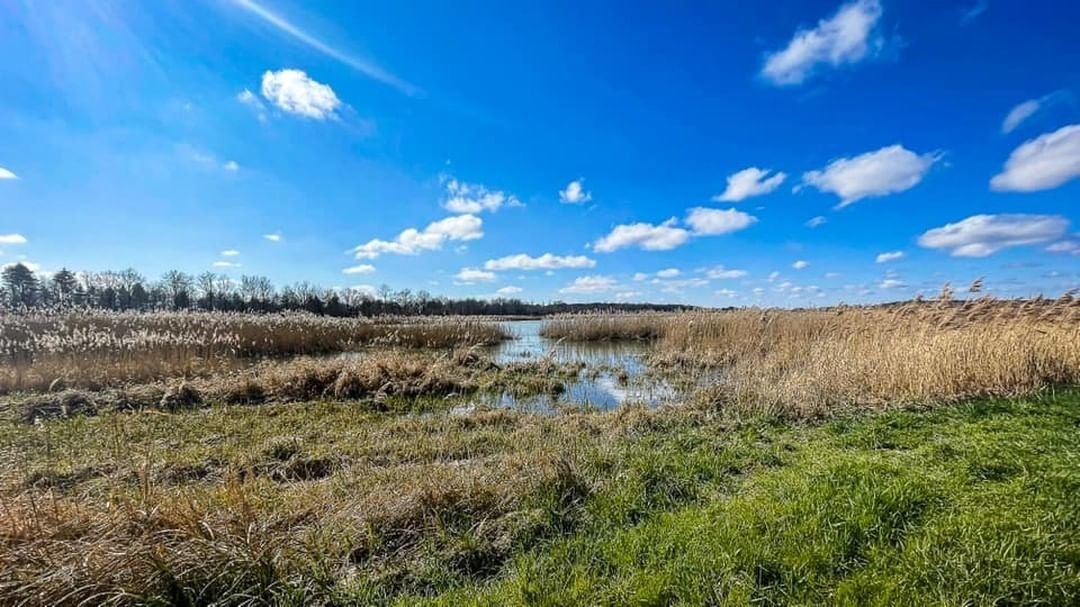 Décor naturel d’exception authentique et préservé – photo 5