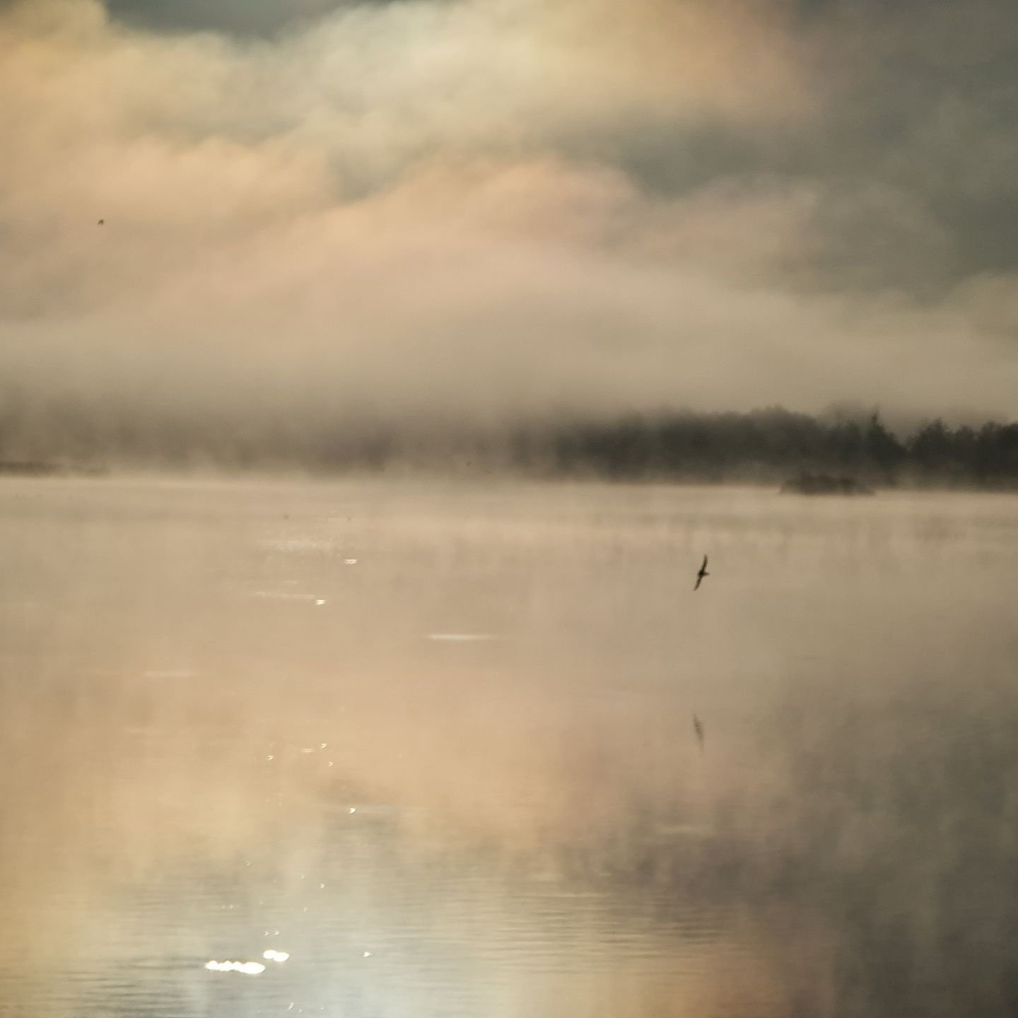 Décor naturel d’exception authentique et préservé – photo 14