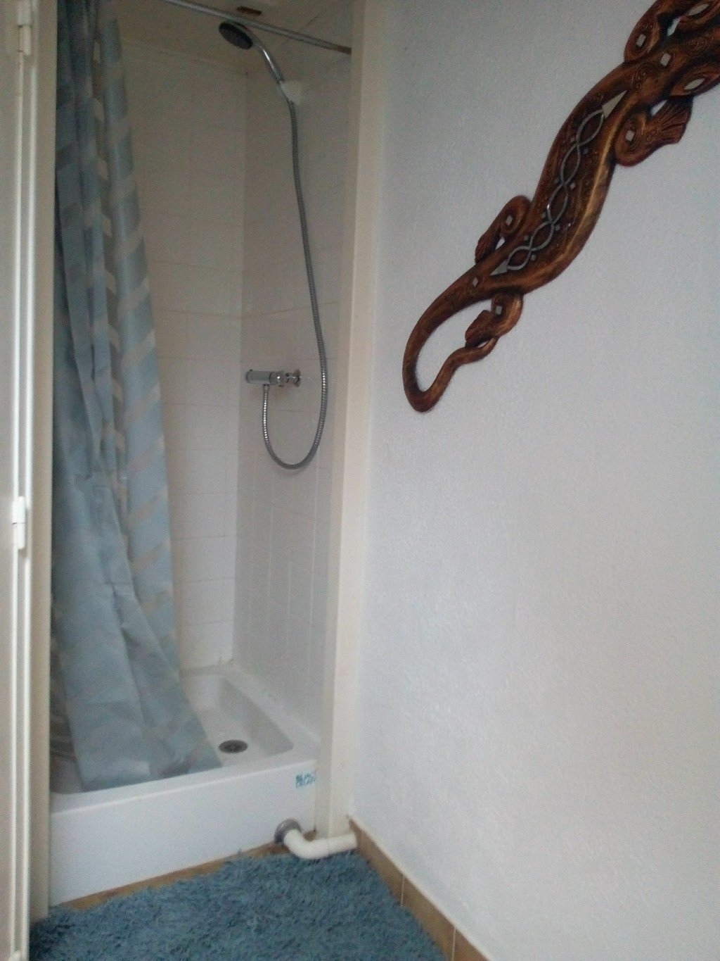 Duplex authentique – photo 4