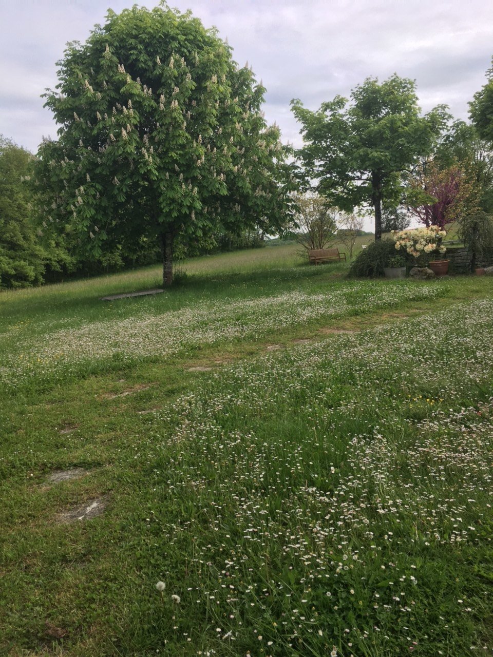 Maison ancienne en pierres – photo 4