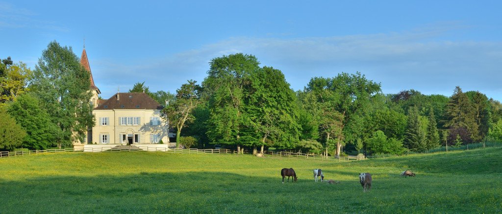 Château rénové, charme de l’ancien – photo 4