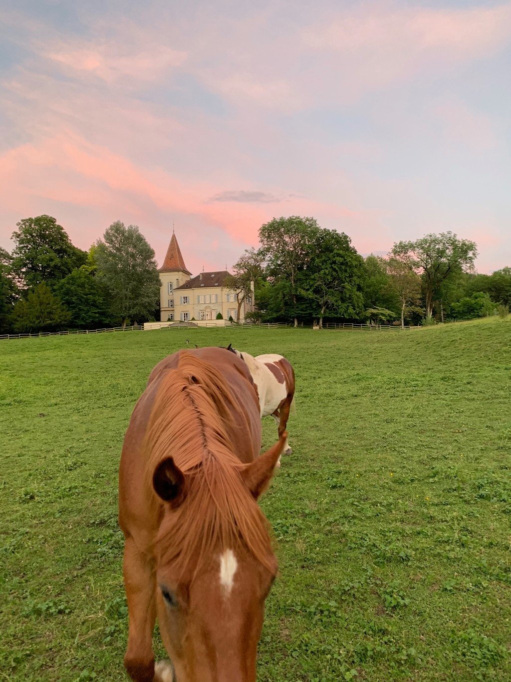 Château rénové, charme de l’ancien – photo 13