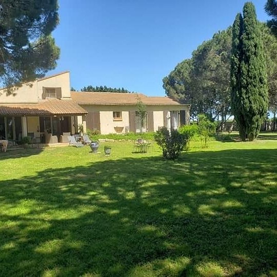 Mas camarguais – photo 1