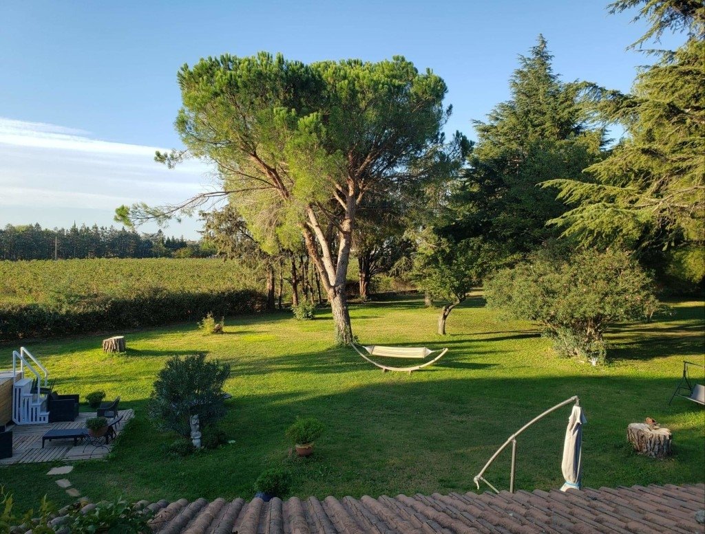 Mas camarguais – photo 3