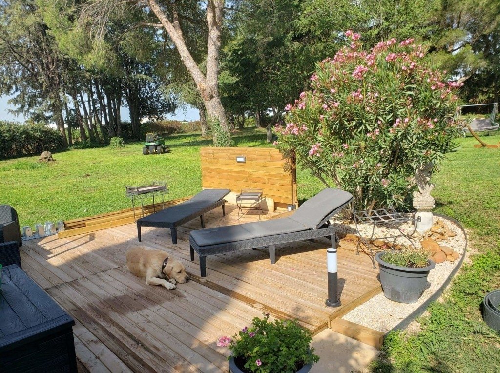 Mas camarguais – photo 15