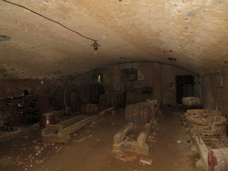 Château sur terrain de 5Ha – photo 9