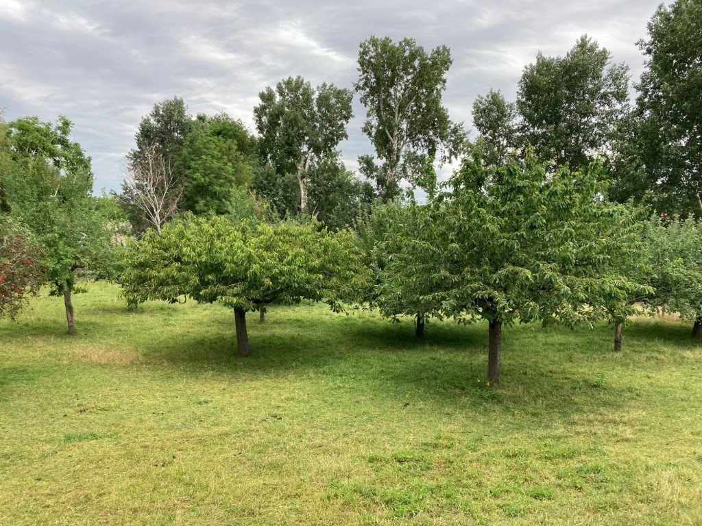 Propriété – photo 6