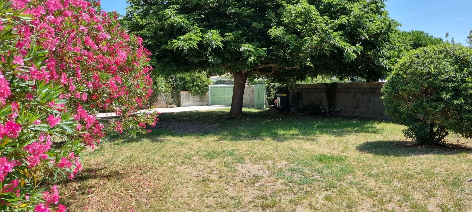 Maison de plain-pied au bout de l’île – photo 10