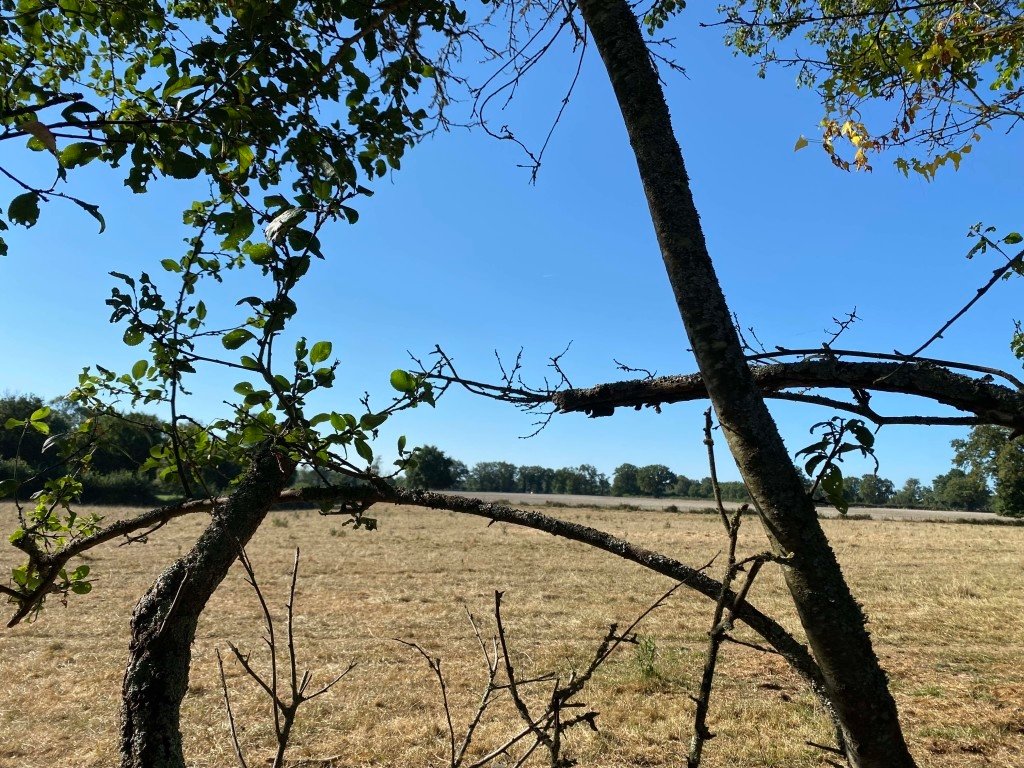 Longère – photo 12