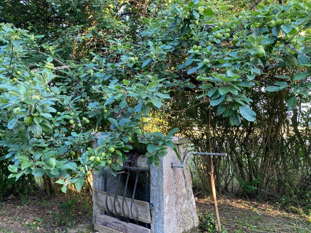 Longère – photo 14