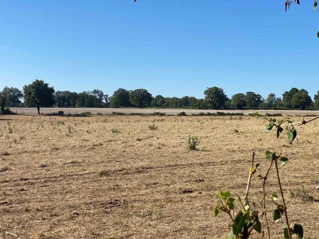 Longère – photo 17