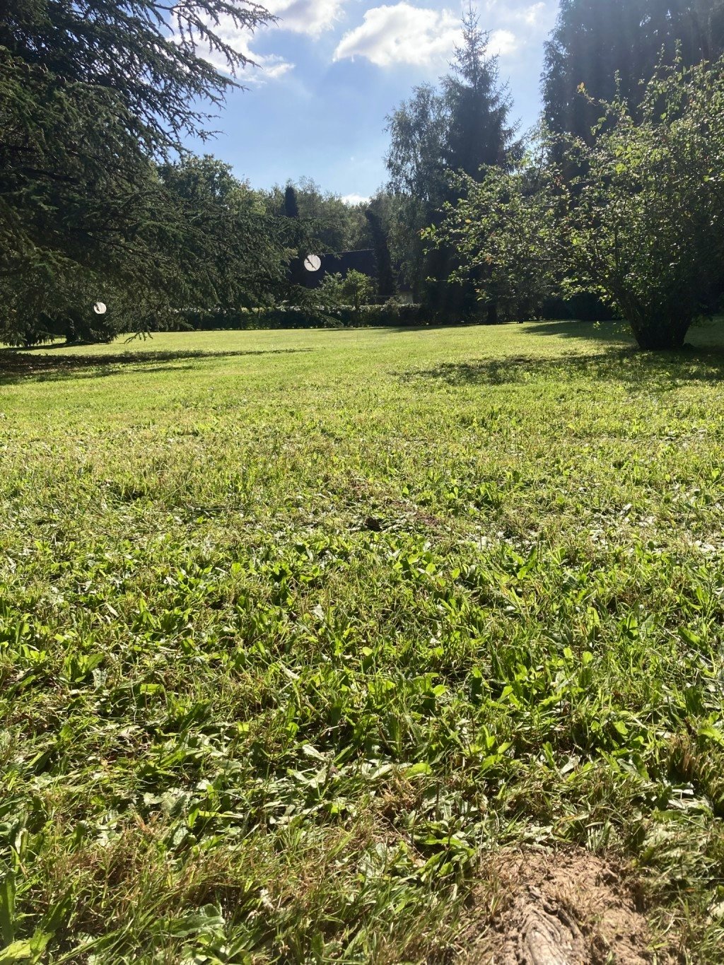 Petits chalets dans un environnement boisé – photo 2