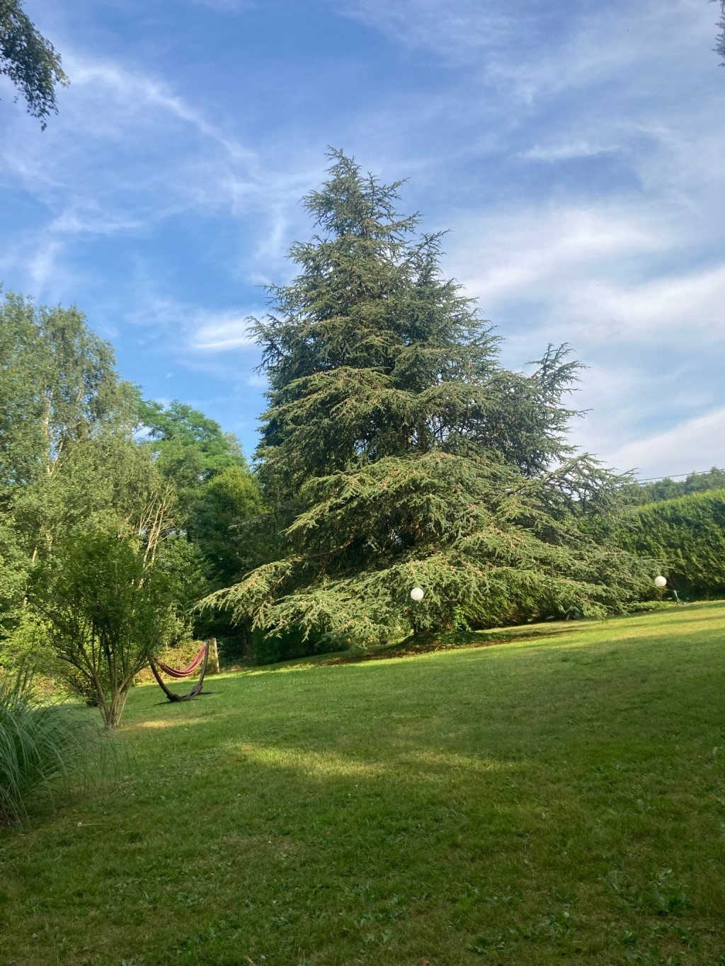 Petits chalets dans un environnement boisé – photo 3