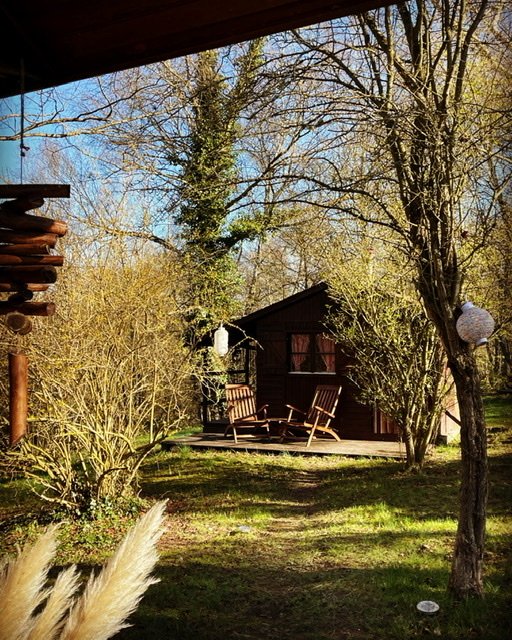 Petits chalets dans un environnement boisé – photo 5