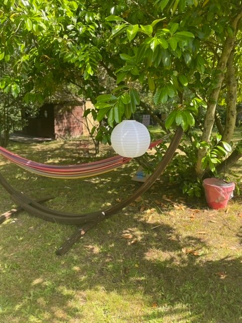 Petits chalets dans un environnement boisé – photo 8