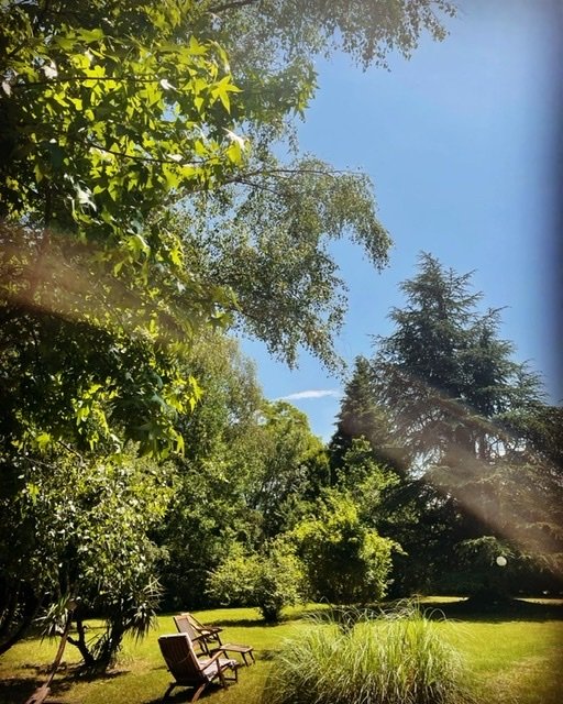 Petits chalets dans un environnement boisé – photo 9