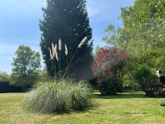 Petits chalets dans un environnement boisé – photo 10