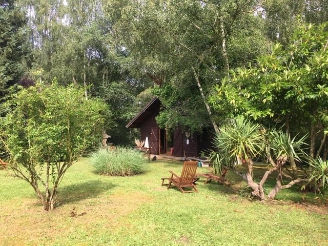 Petits chalets dans un environnement boisé – photo 13