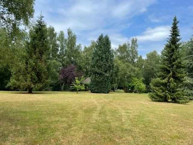 Petits chalets dans un environnement boisé – photo 17