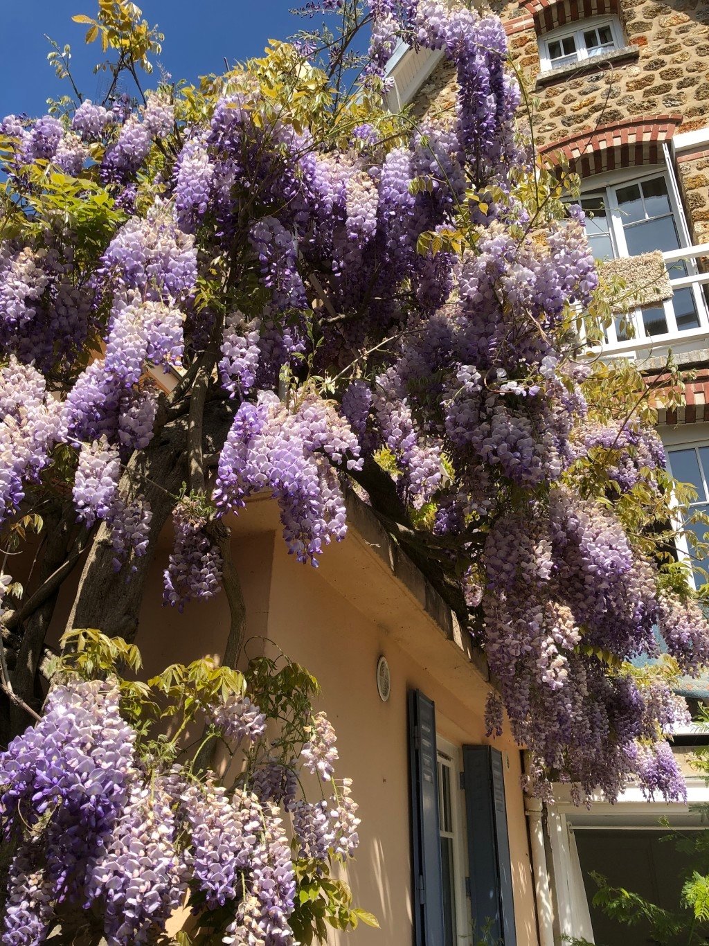 Maison meulière, 1930 – photo 13