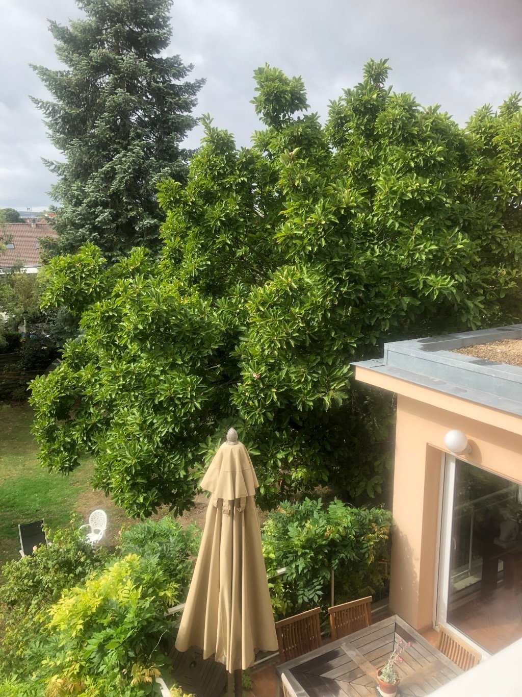 Maison meulière, 1930 – photo 15