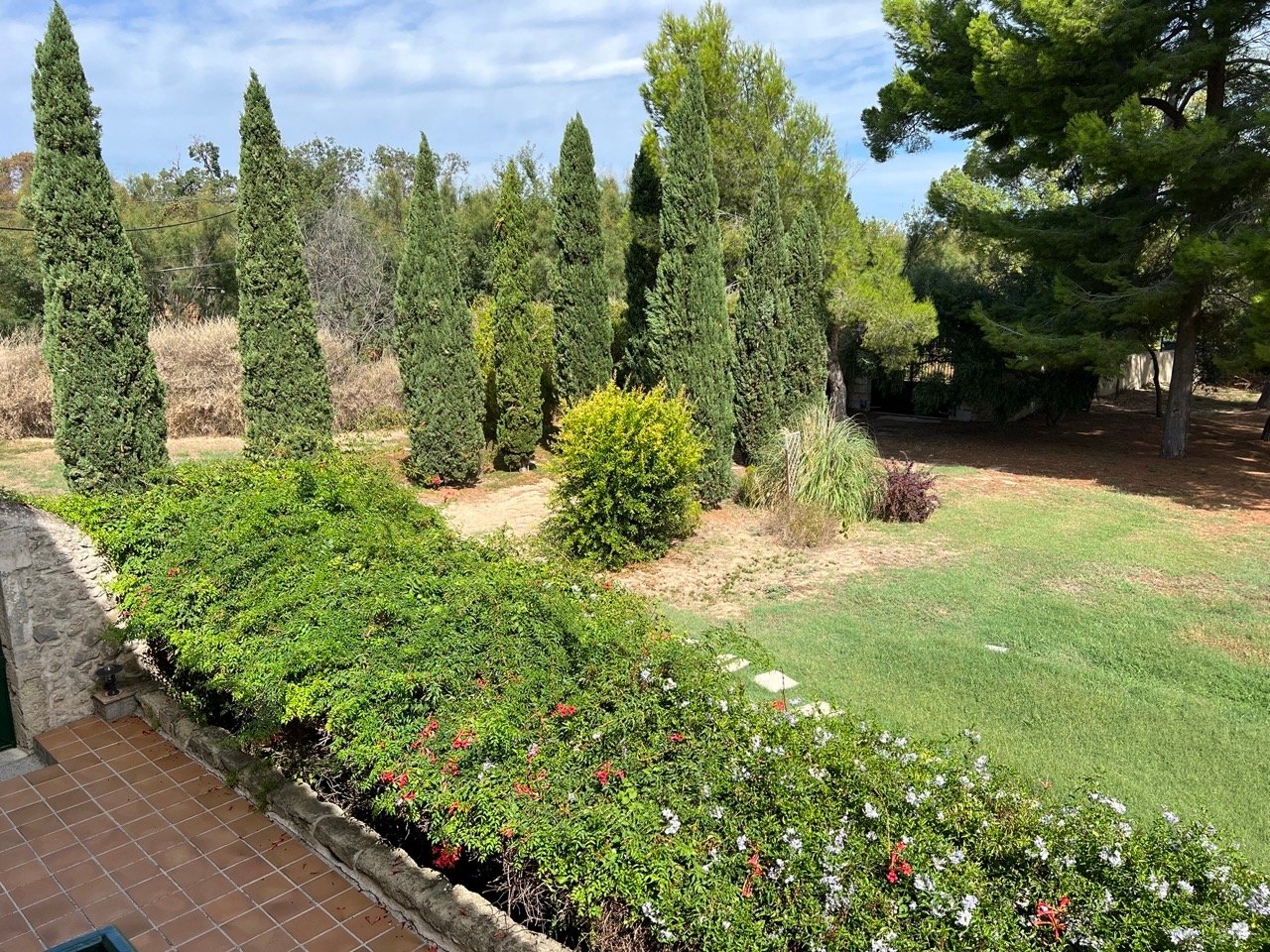 Domaine viticole – photo 7