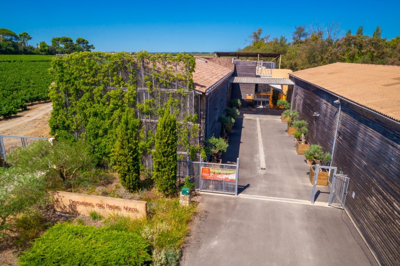 Domaine viticole – photo 11