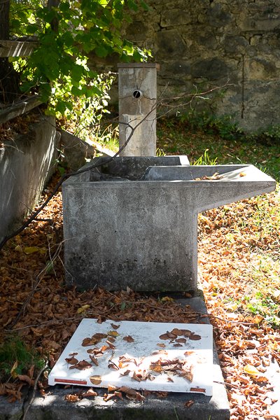 Ferme 1820 – photo 19