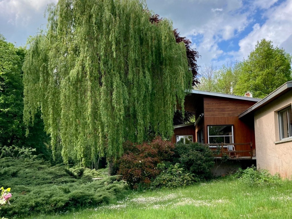 Maison d’architecte 1960 dans son jus – photo 5