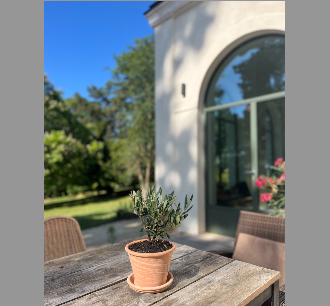 Maison, ancienne orangerie – photo 13