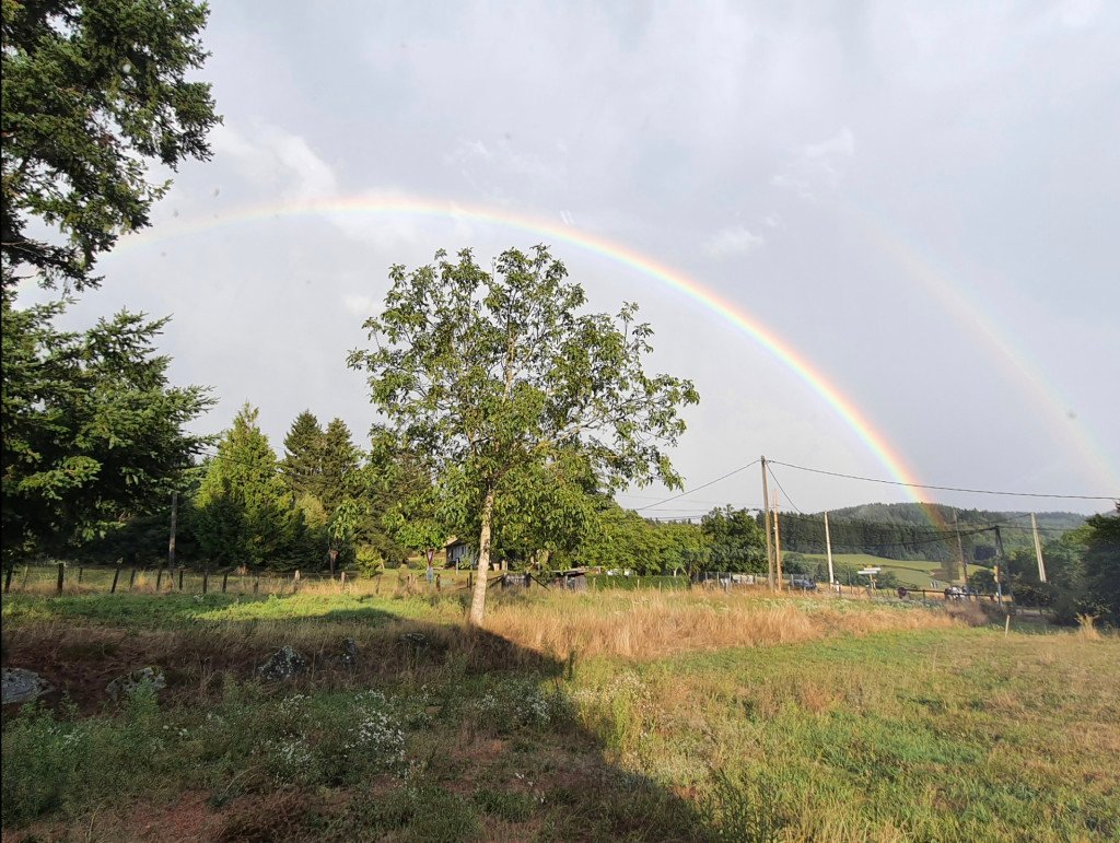 Châlet en rondin – photo 12