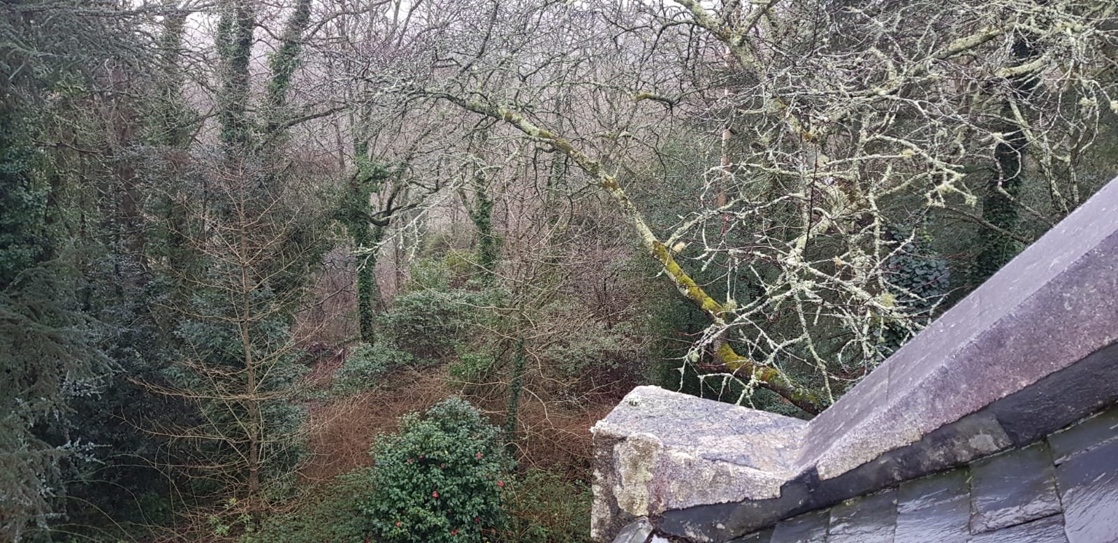 Maison typique peu meublée – photo 18