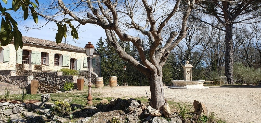 Domaine – photo 17