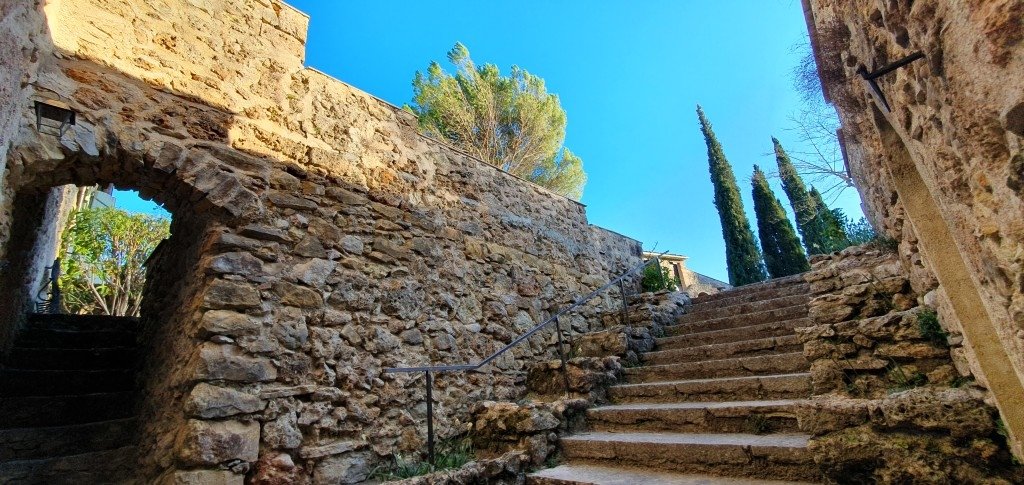 Domaine – photo 20