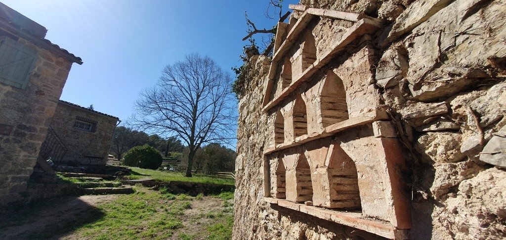 Domaine – photo 22