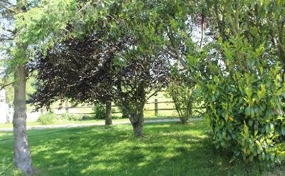 Ferme rénovée – photo 3