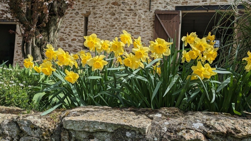 Ferme rénovée – photo 11