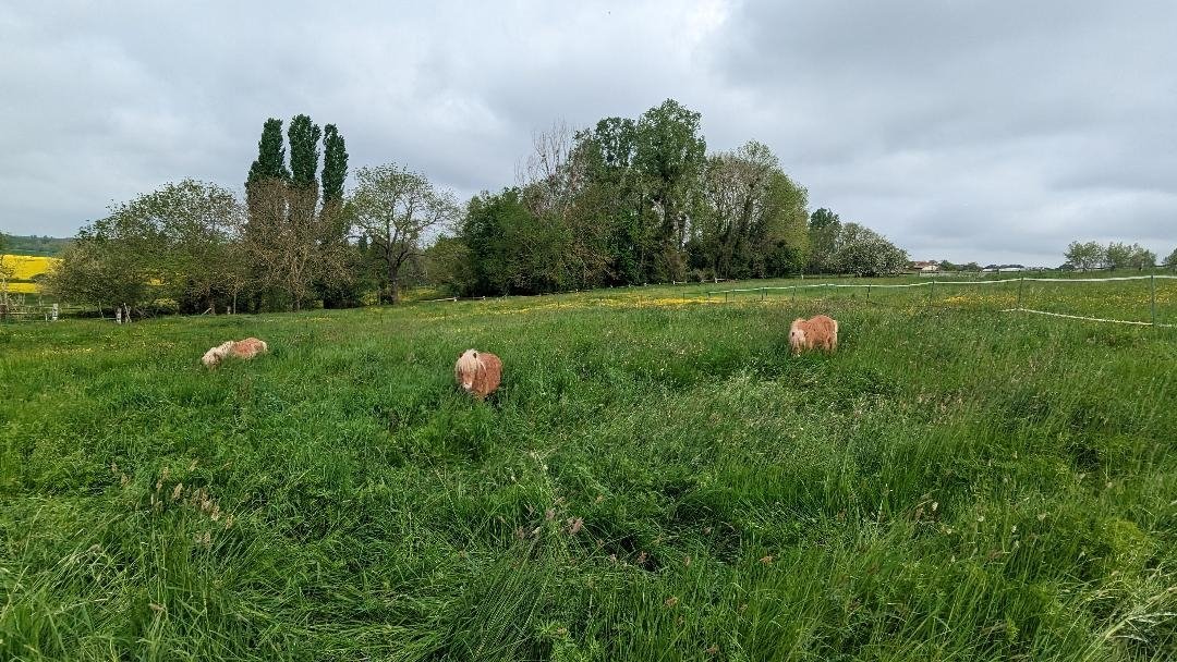 Ferme rénovée – photo 13