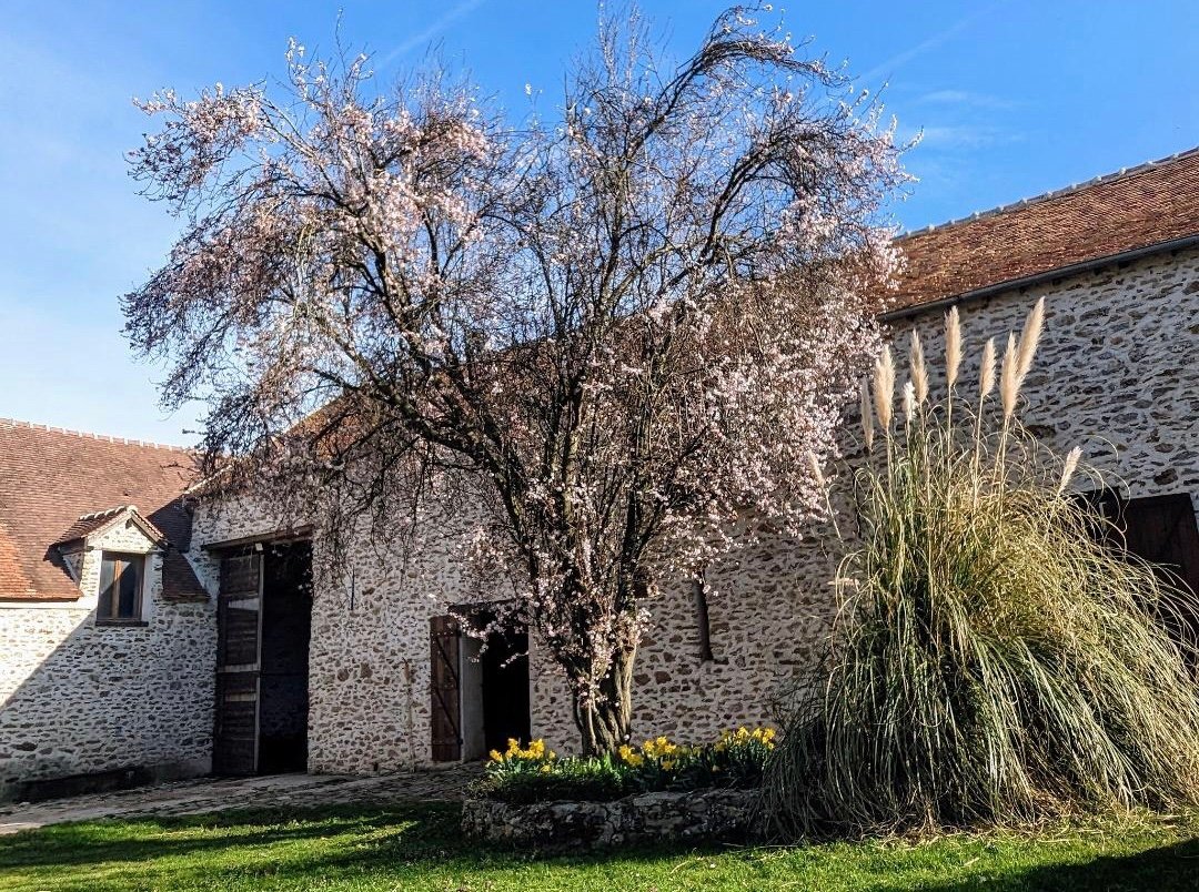 Ferme rénovée – photo 16