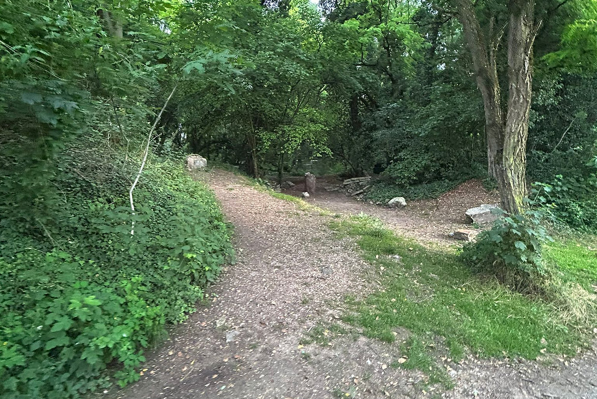 La forêt privée – photo 3