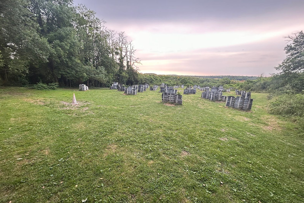 La forêt privée – photo 7